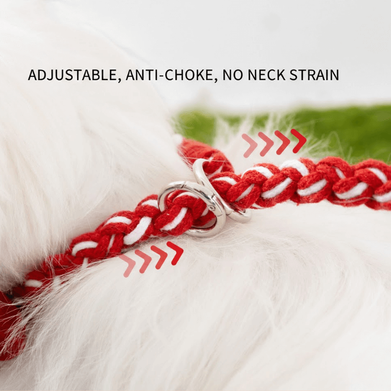 Ensemble collier et laisse tissés à la main pour chien