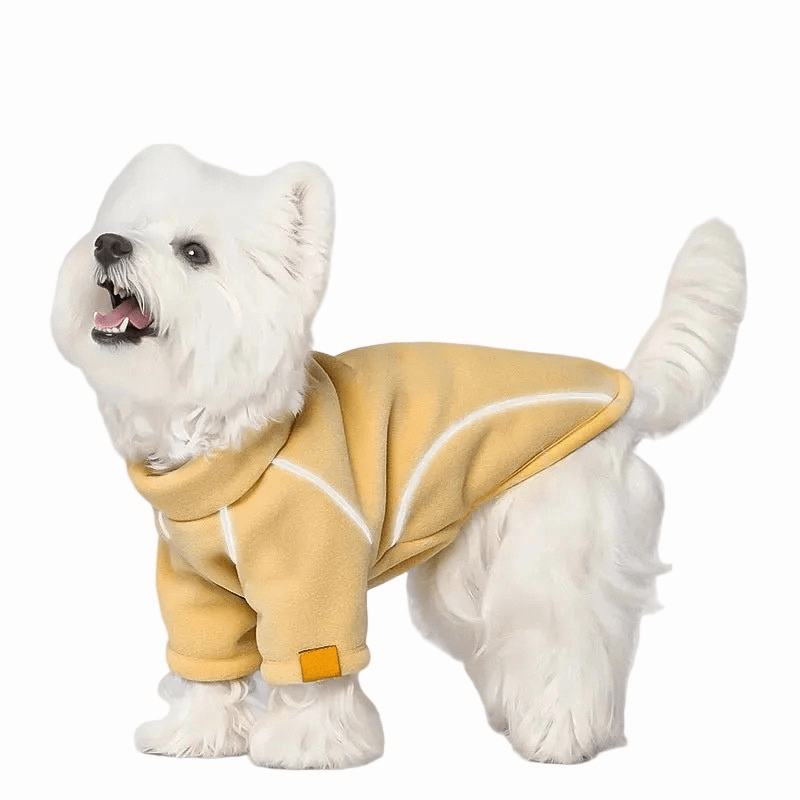 Sous-couche polaire jaune pour la randonnée avec un chien