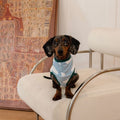 Dachshund Anti-Static Stretch Vest