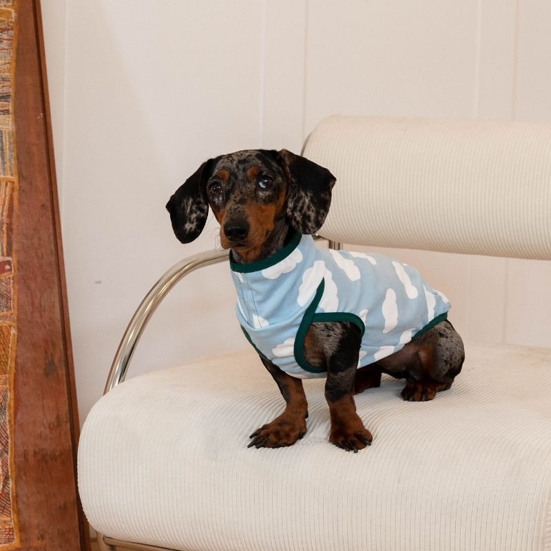 Dachshund Anti-Static Stretch Vest