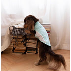 Dachshund Cooling Summer Clothing