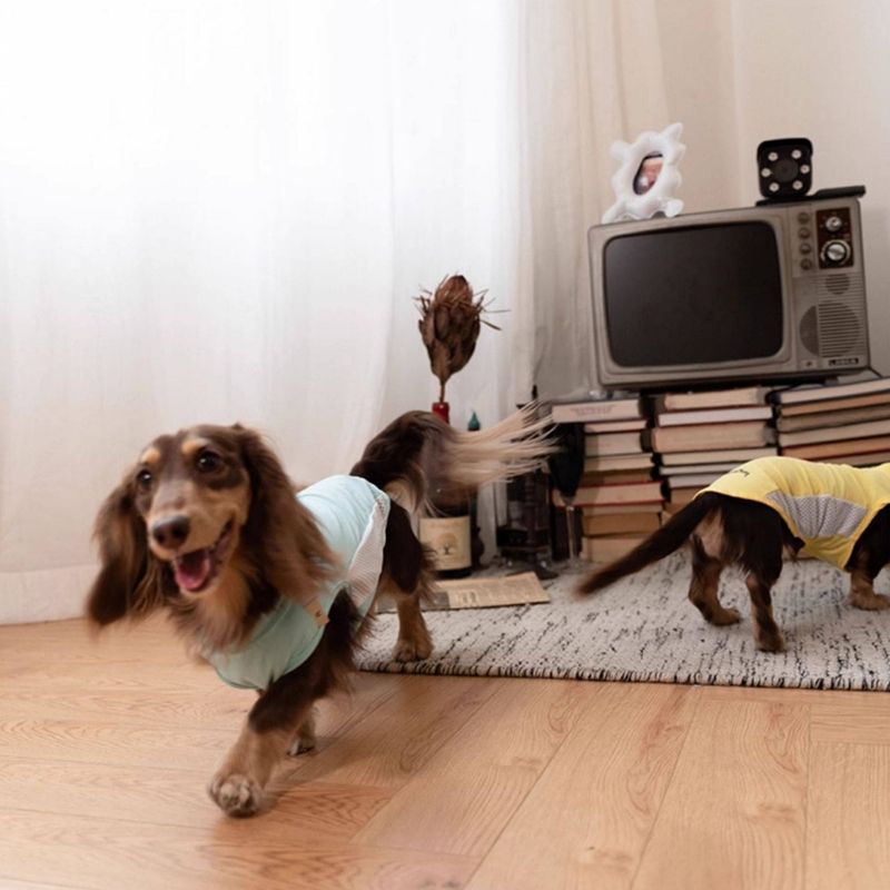 Dachshund Cooling Summer Clothing