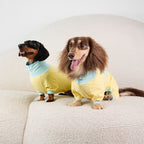 Dachshund-Kühlanzug für den Sommer – Gelb