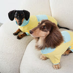 Dachshund-Kühlanzug für den Sommer – Gelb