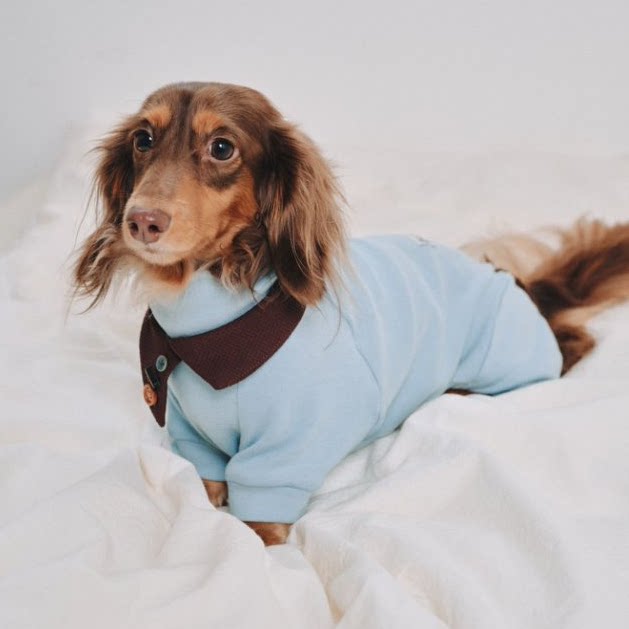 Dachshund Fleece Dog Onesie