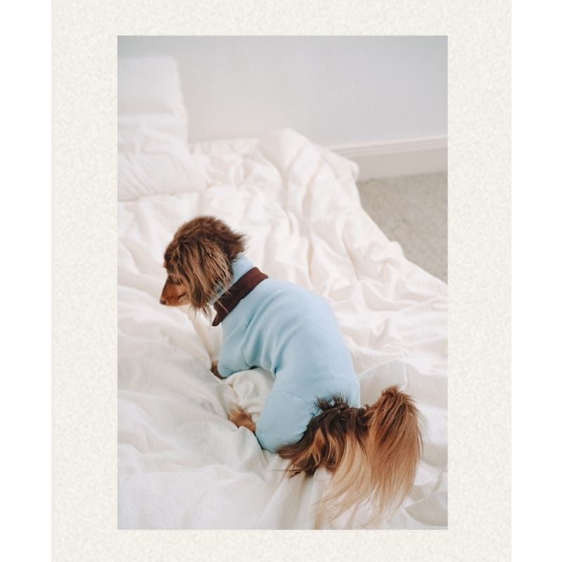 Dachshund Fleece Dog Onesie