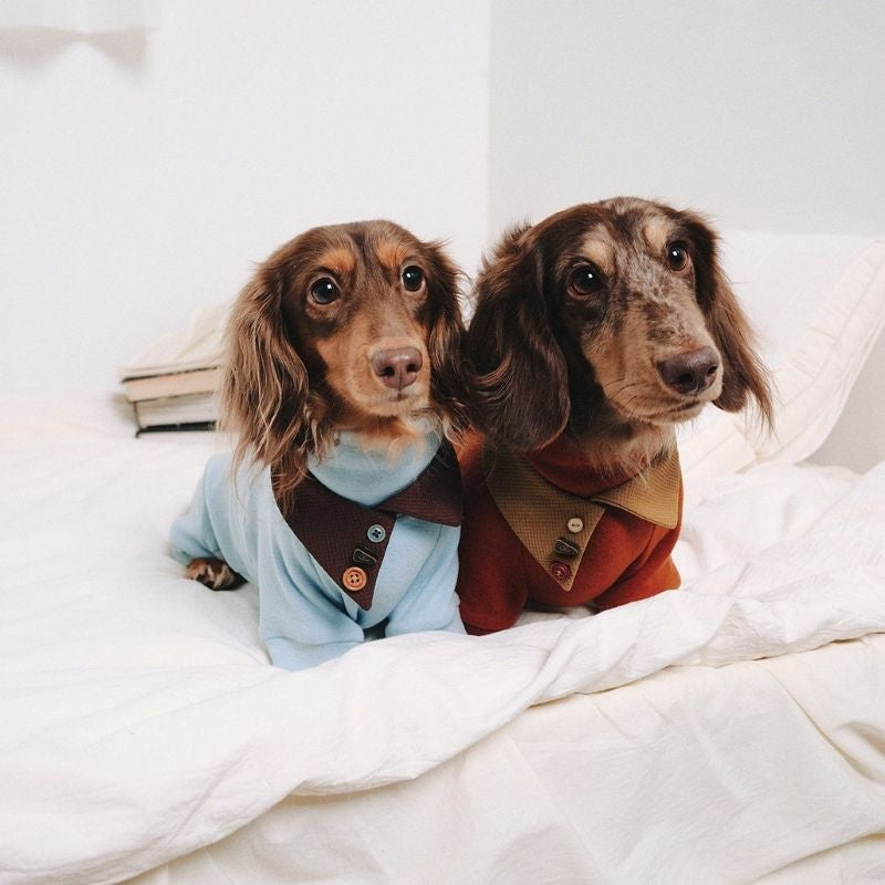 Dachshund Fleece Dog Onesie