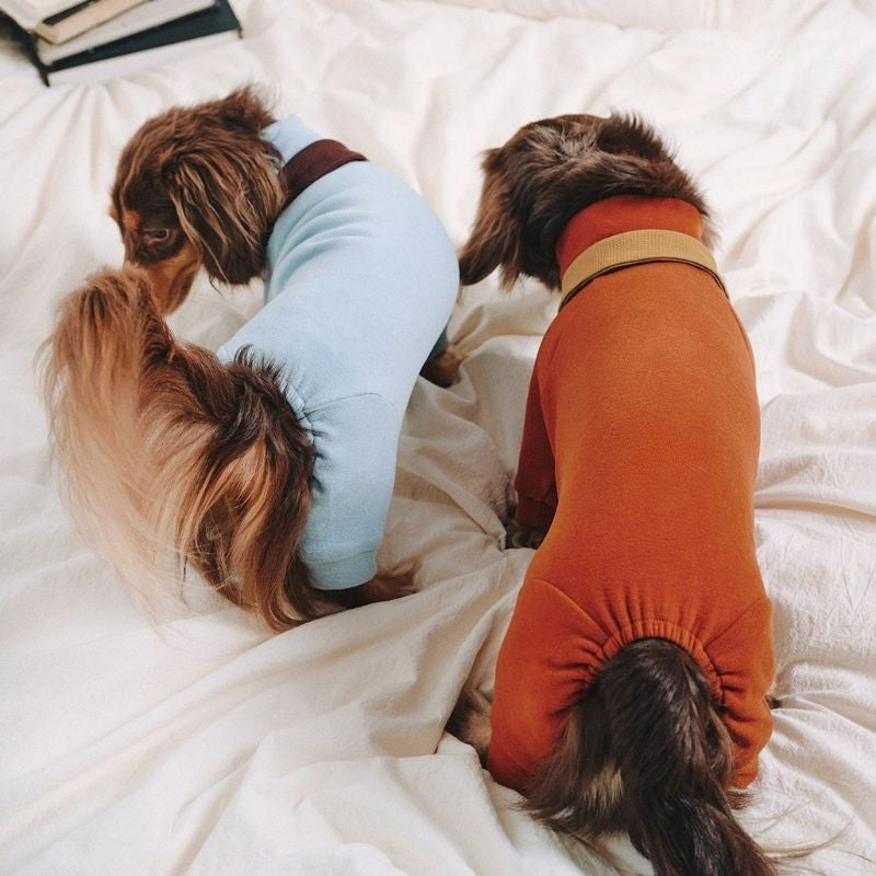 Dachshund Fleece Dog Onesie