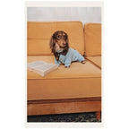 Dachshund Fleece Dog Onesie