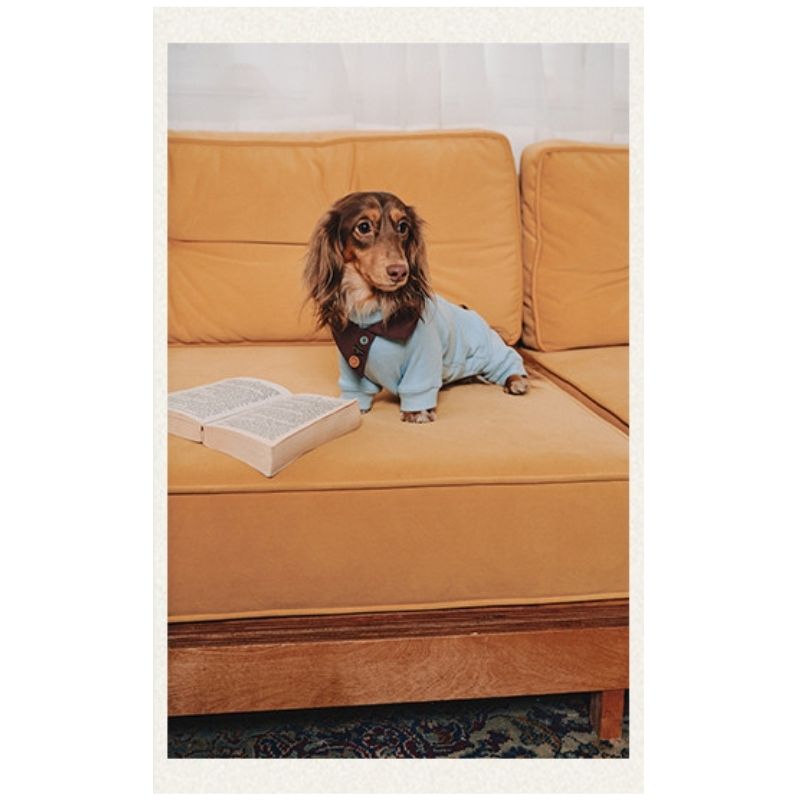 Dachshund Fleece Dog Onesie