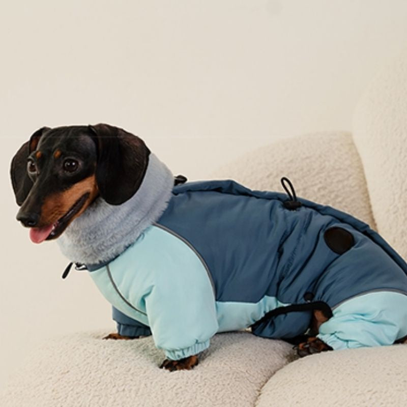 Dachshund Padded Winter Coat