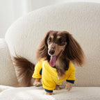 Polo bodysuit designed for dachshunds