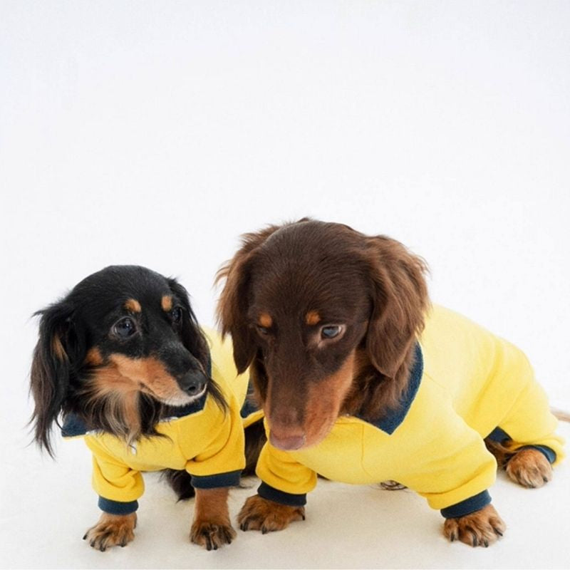 Dachshund Stretch Polo Bodysuit