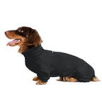 Dachshund Stretch Polo Bodysuit
