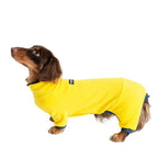 Dachshund Stretch Polo Bodysuit