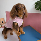 Dachshund Sommer Atmungsaktive Weste