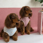 Dachshund Sommer Atmungsaktive Weste