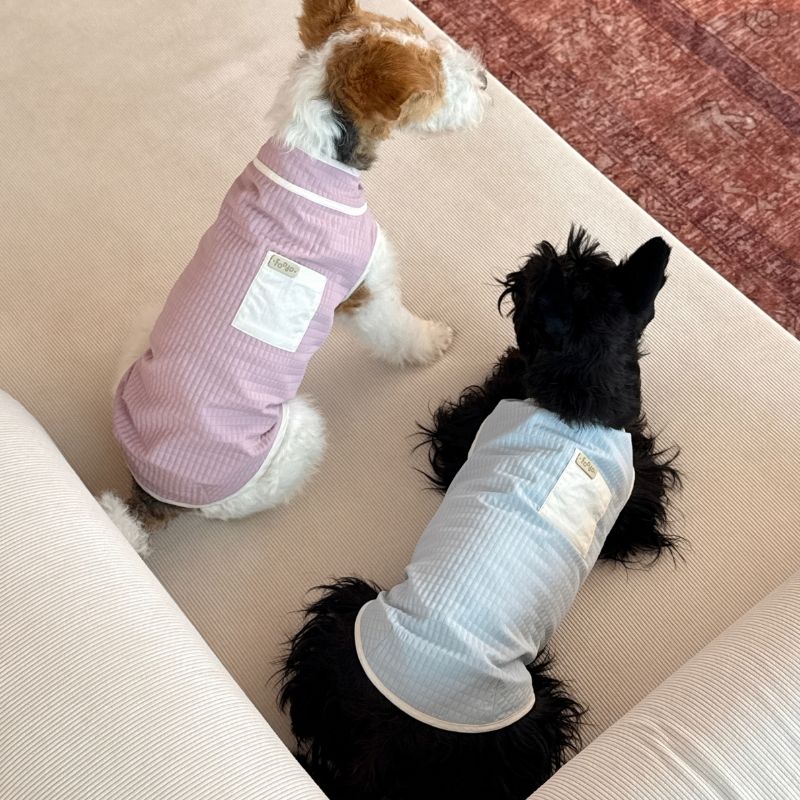 Dachshund Sommer Atmungsaktive Weste
