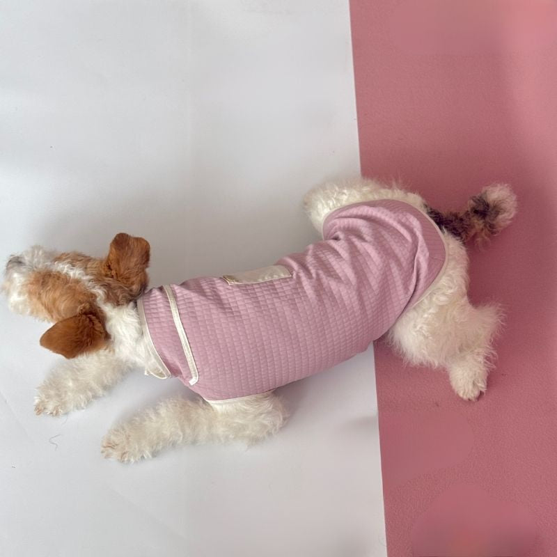 Dachshund Summer Breathable Vest