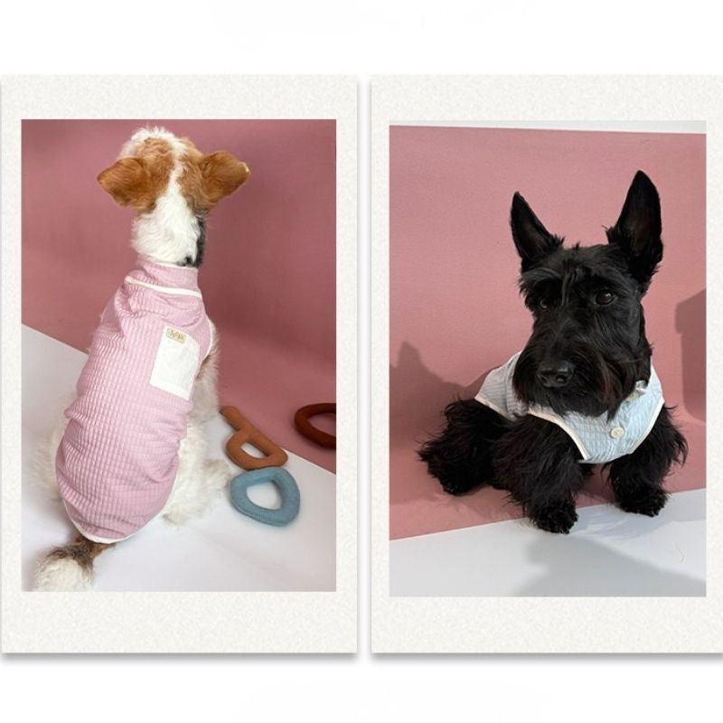 Dachshund Sommer Atmungsaktive Weste