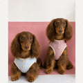 Dachshund Sommer Atmungsaktive Weste