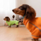 Dachshund Waffle Knit Pullover