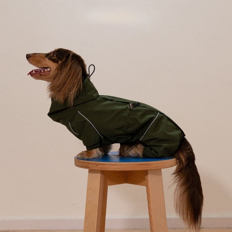 Dachshund Waterproof Outdoor Jacket