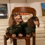 Dachshund Waterproof Outdoor Jacket