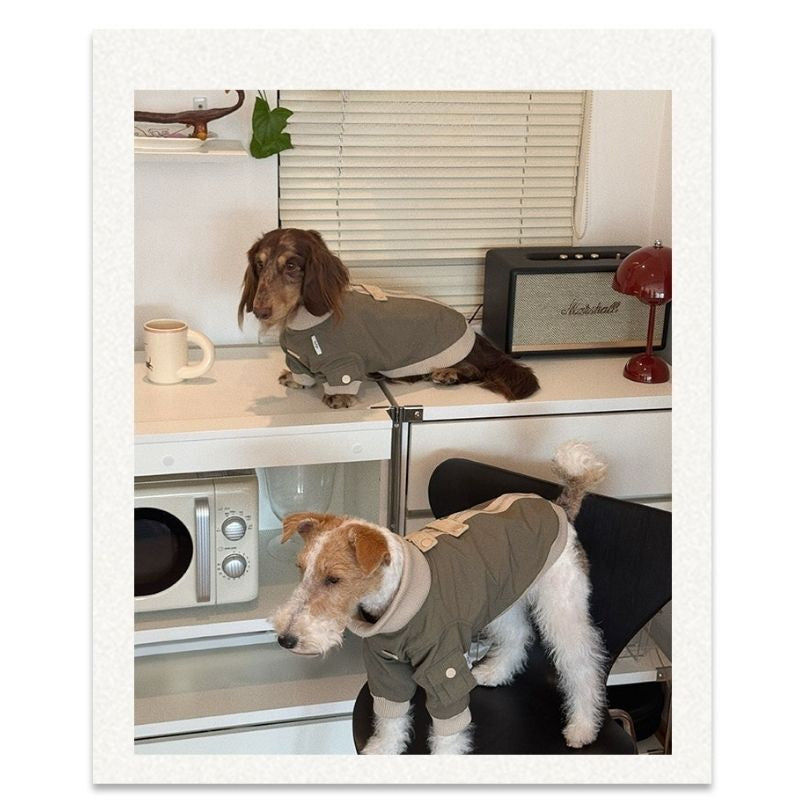 Dachshund Windproof Outdoor Jacket