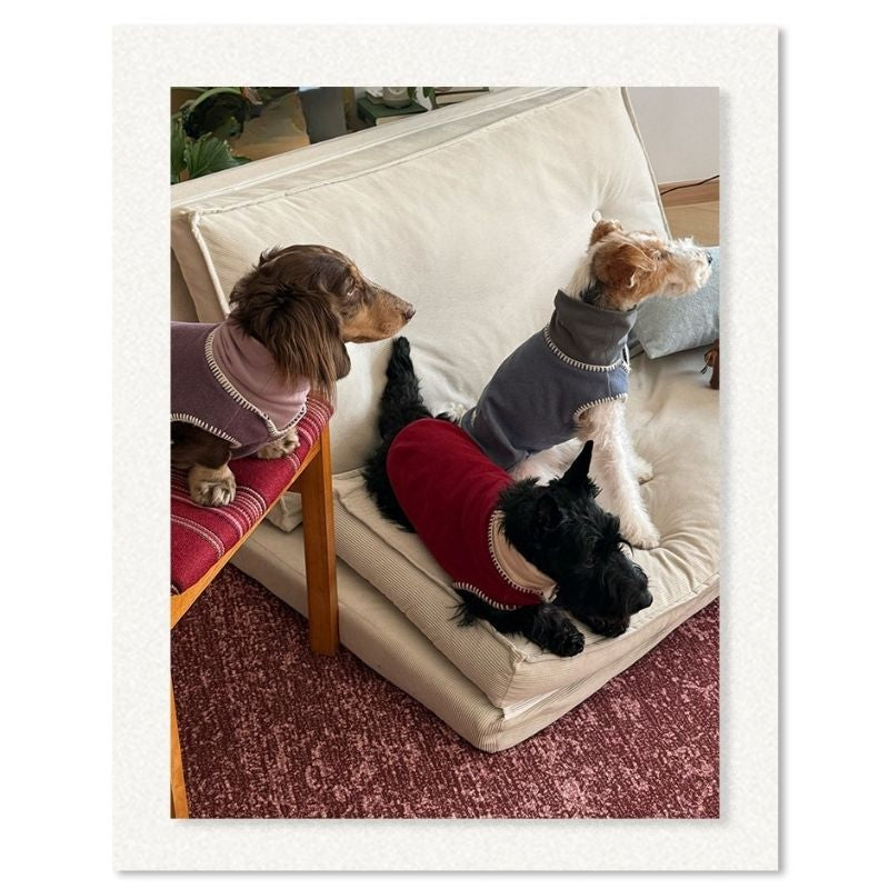 Dachshund Winter Knit Vest