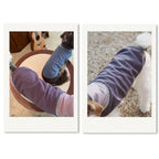 Dachshund Winter Knit Vest