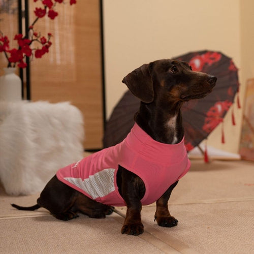 Dachshund Cooling Summer Clothing
