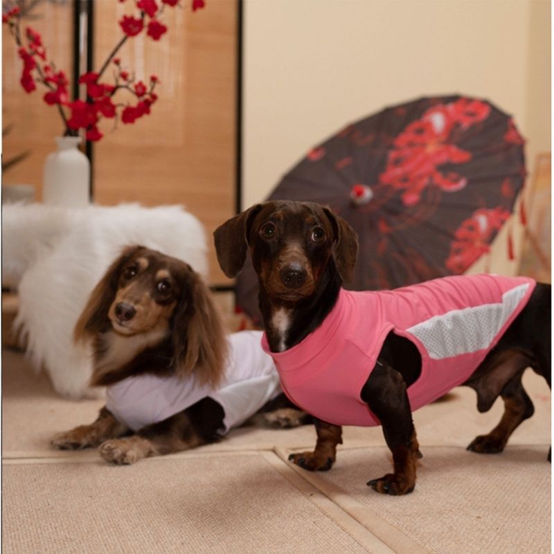 Dachshund Cooling Summer Clothing