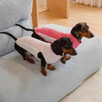 Dachshund Cooling Summer Clothing