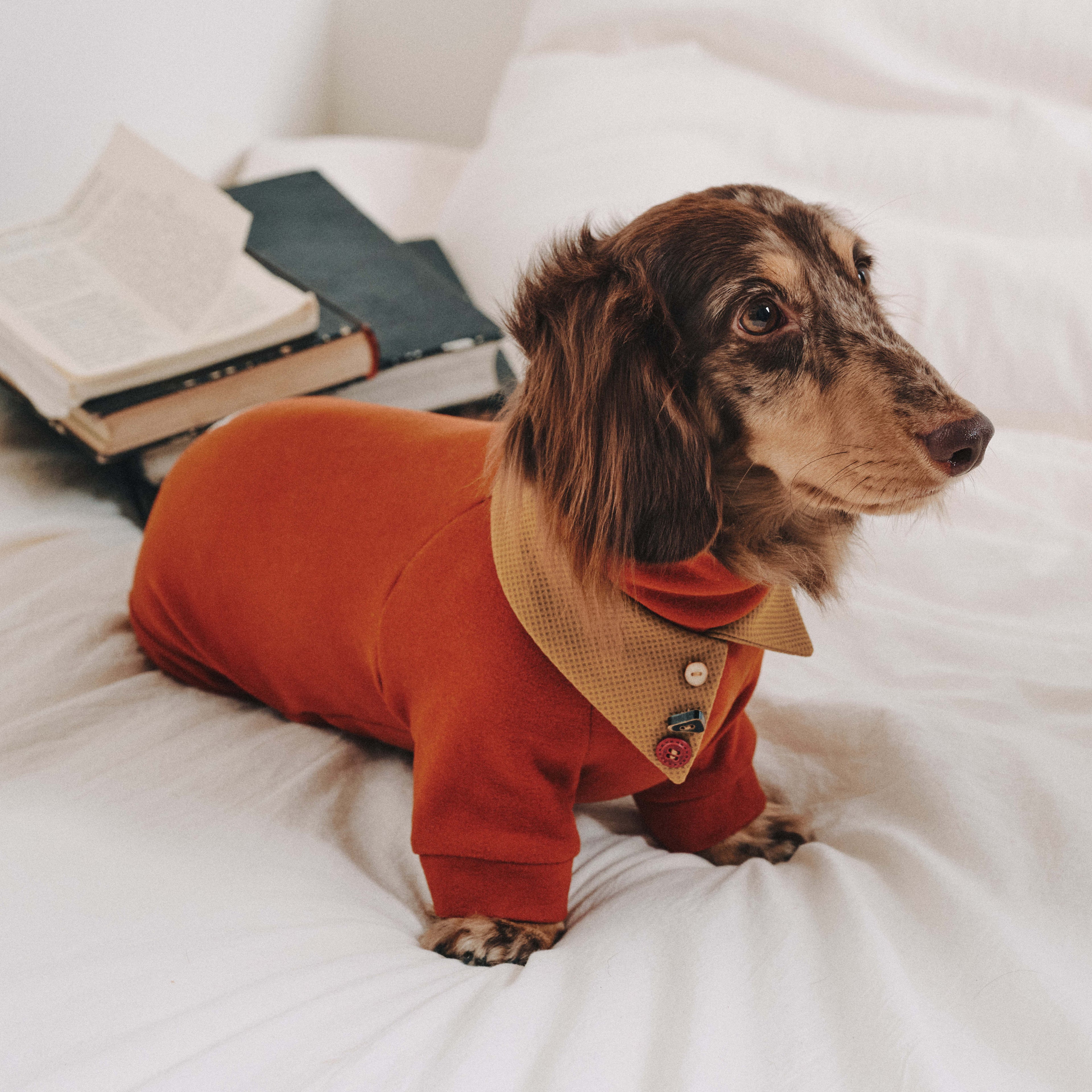 Dachshund Fleece Dog Onesie