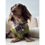 Dachshund Summer Knit Color-Block Vest