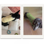 Dachshund Summer Knit Color-Block Vest