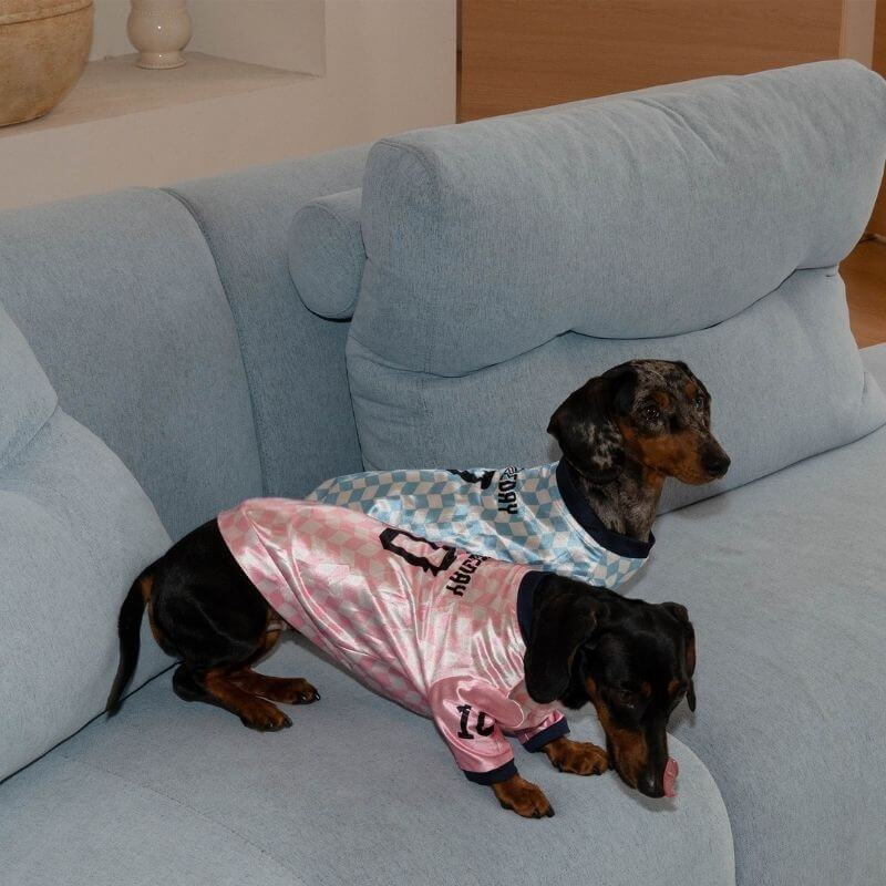 Vintage soccer shirt designed for dachshunds