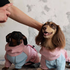 Dachshund Waterproof Outdoor Jacket - Pink&Blue