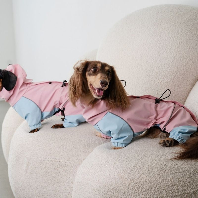 Dachshund Waterproof Outdoor Jacket - Pink&Blue