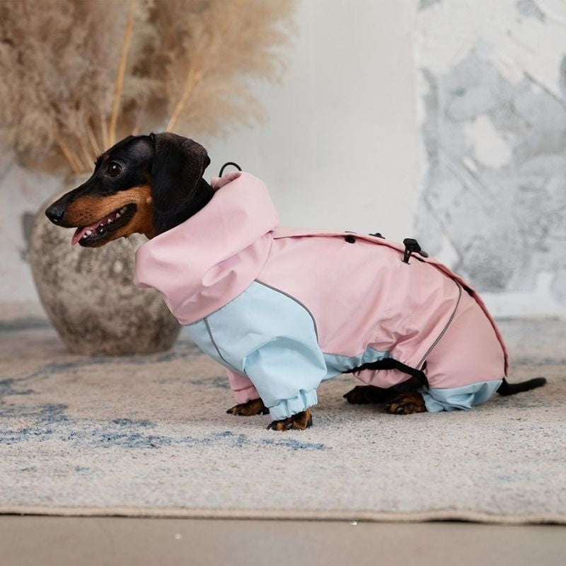 Dachshund Waterproof Outdoor Jacket - Pink&Blue