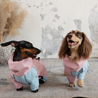 Dachshund Waterproof Outdoor Jacket - Pink&Blue