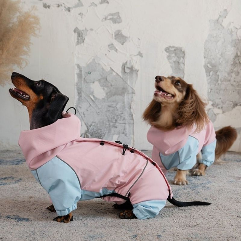 Dachshund Waterproof Outdoor Jacket - Pink&Blue