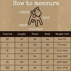 Dachshund Waterproof Outdoor Jacket