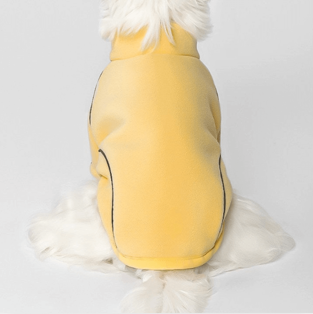 Sous-couche polaire jaune pour la randonnée avec un chien