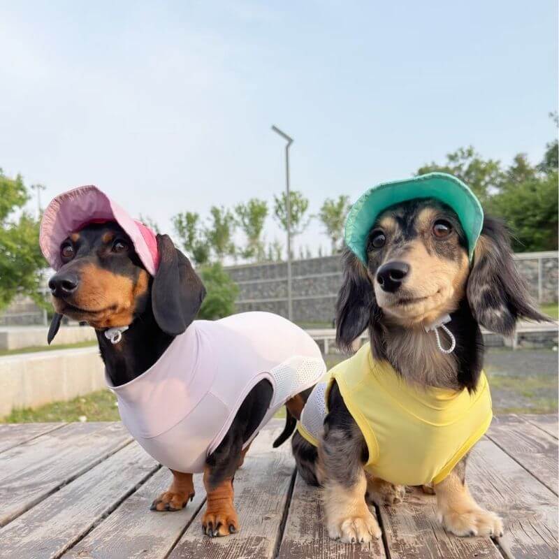 Dachshund Adjustable Sun Hat