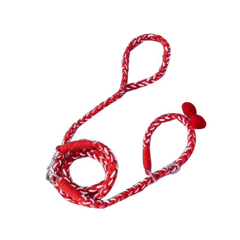 Ensemble collier et laisse tissés à la main pour chien